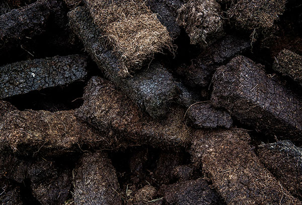 Peat in briquettes