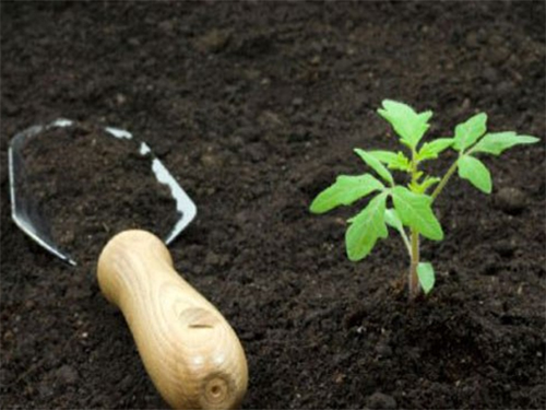 Fertilizer benefits Ideal for soil