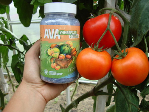 AVA fertilizer for vegetables