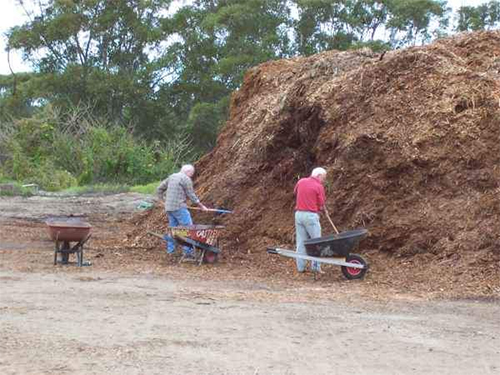 Sawdust in compost for soil fertilization
