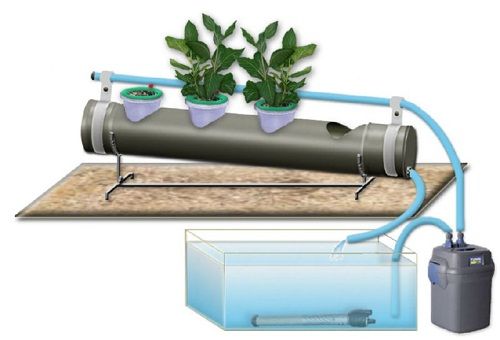 hydroponic pots with automatic irrigation system