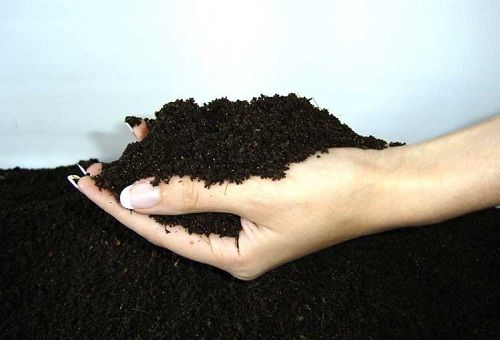 organické hnojivo v ruce