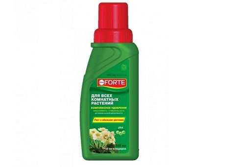 fertilizer for cacti Bona Forte
