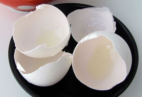 κελύφους αυγών