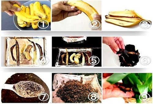fertilizante de cáscara de plátano