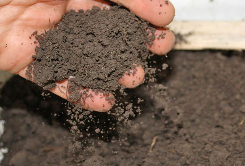 Terreno para um jardim de flores