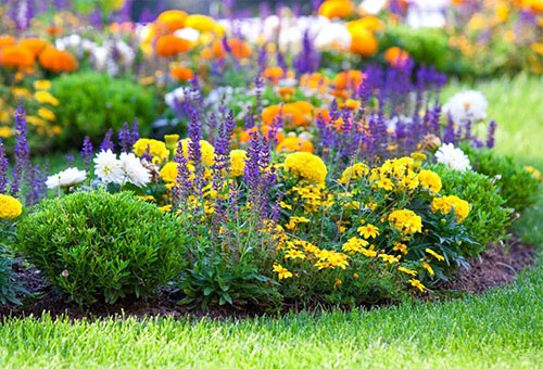 composición de flores