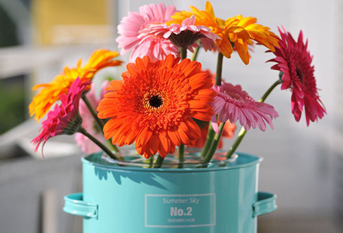 Gerbera buket