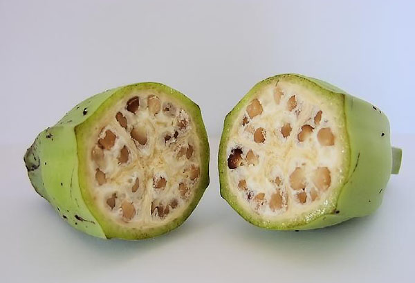 Бананови плодове със семена