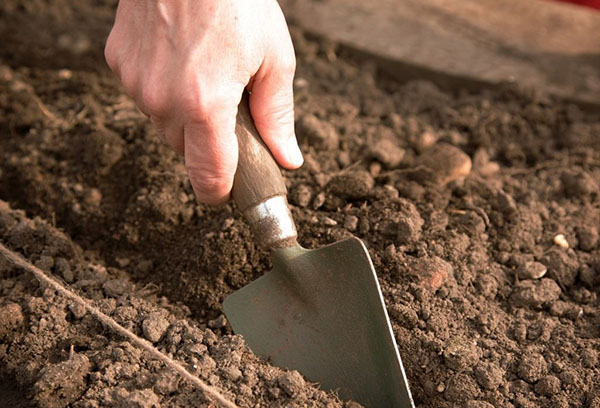 Подготовка на почвата