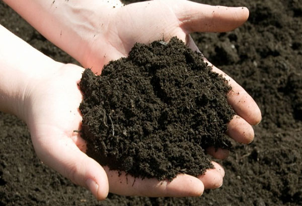 Nutrient soil