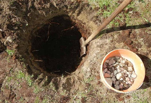 Подготовка на яма за засаждане на круши