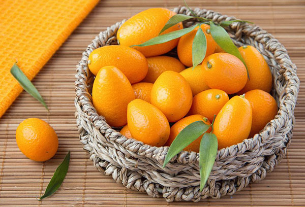 Buah Kumquat