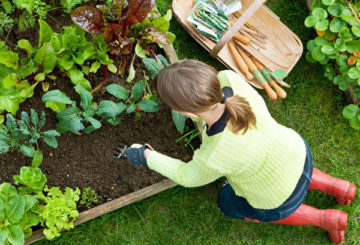 Meisje dat planten plant