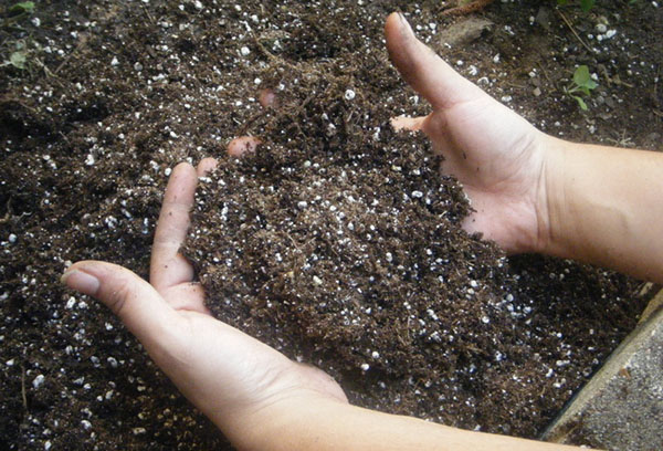 Подготовка на почвата с торове