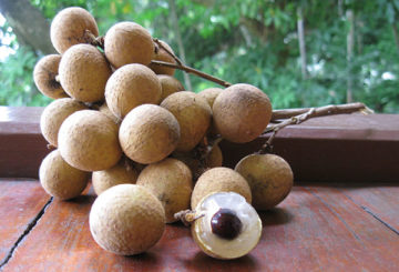 Longan Fruit Tros