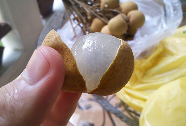 Longan-fruit schillen