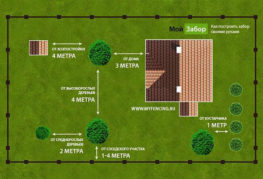 Схема за засаждане на дървета на сайта