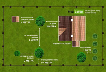 Skim penanaman pokok di tapak