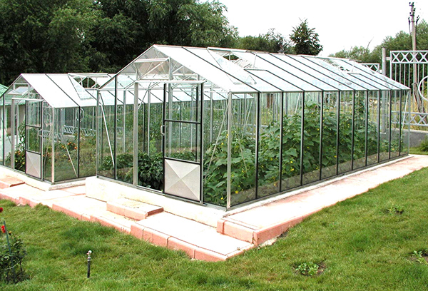 Mga glass greenhouse sa site