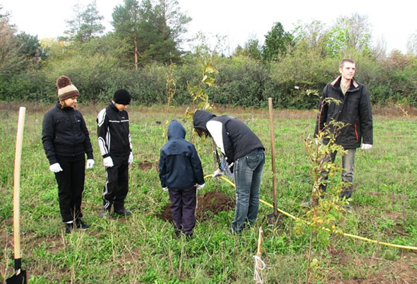 Arroser une jeune poire