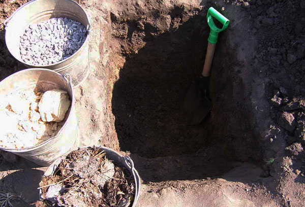 Planting pit and fertilizers