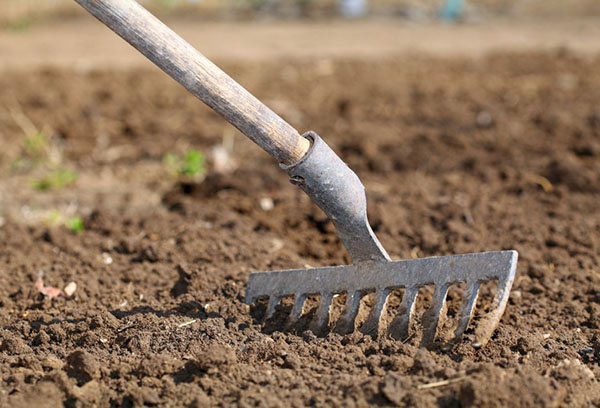 De tuin voorbereiden