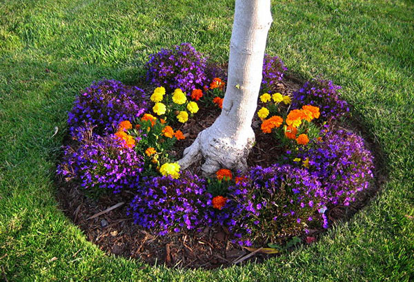 Jardim de flores sob a macieira