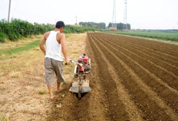 Preparação do local para o plantio de batatas