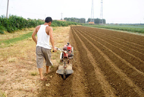 Подготовка на сайт за засаждане на картофи