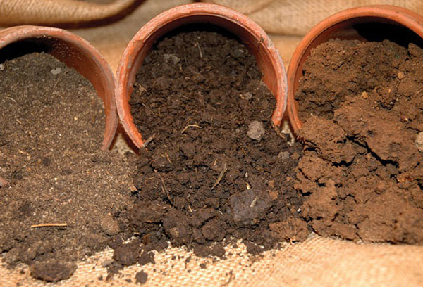 Различни видове почва
