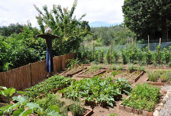 Scarecrow vegetable garden
