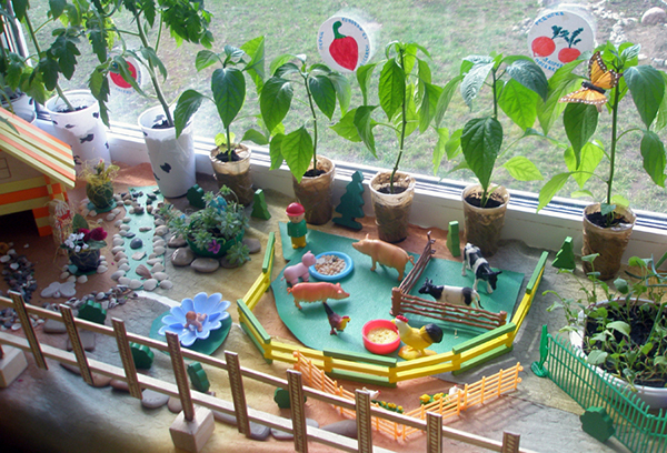 Jardin à la maternelle sur le rebord de la fenêtre