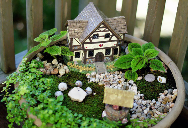 Miniatuur tuin in potten