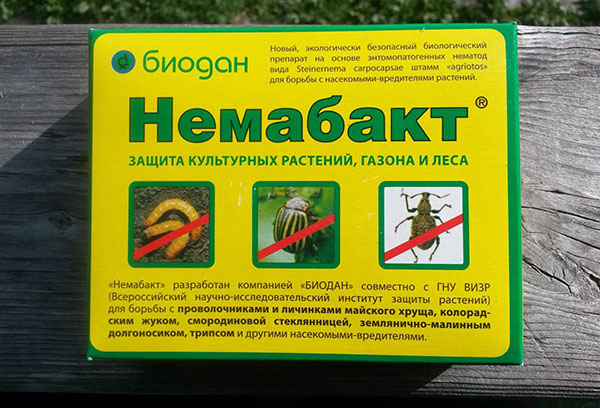 المنتج البيولوجي Nemabakt