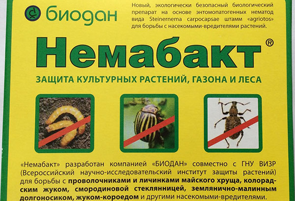 Лекарството Nemabakt за защита срещу вредители