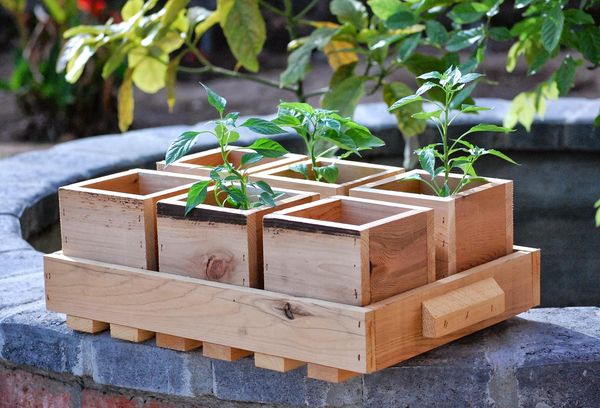 Drewniane pudełko na rośliny