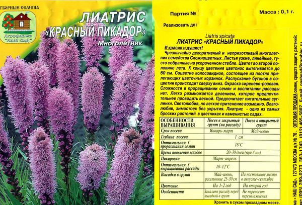 A Liatris magjai