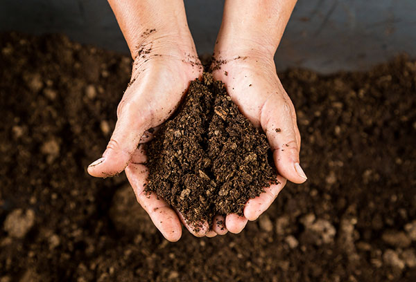 Turba pentru fertilizarea solului