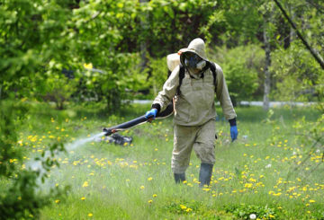 Pulverizando a área de mosquitos