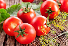 Пресни домати