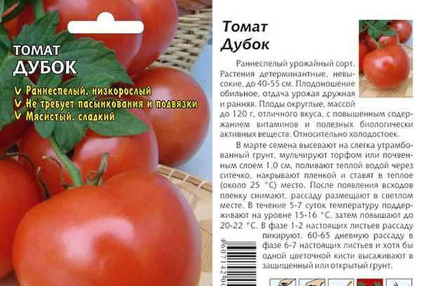 Tomatensamen Eiche