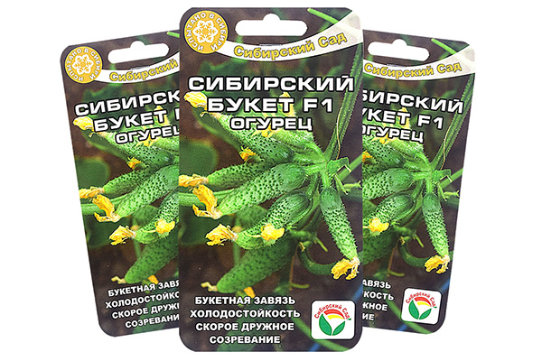 Семена от краставици Сибирски букет F1