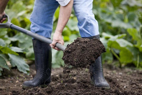 Обогатяване на градинска почва