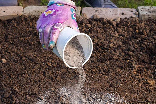 Fertilizarea solului cu cenușă