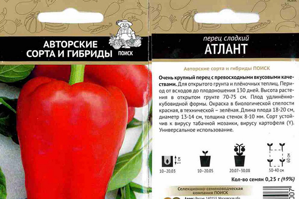 Atlant paprika vetőmag csomagolása