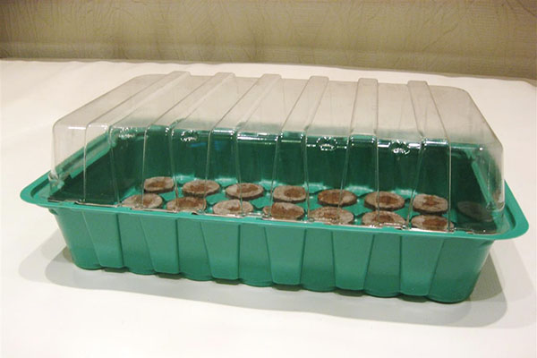 Tablete de turbă într-un recipient cu un capac