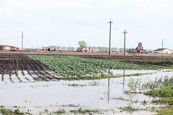 Potagers remplis d'eau