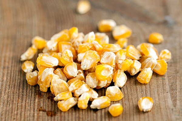Dried corn kernels
