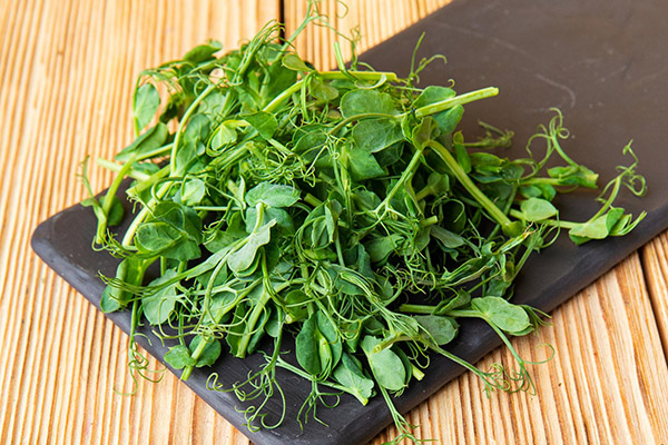 Microgreens de guisantes en tablero para servir